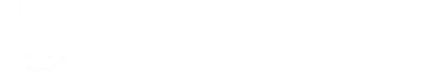 AutoDealers Digital